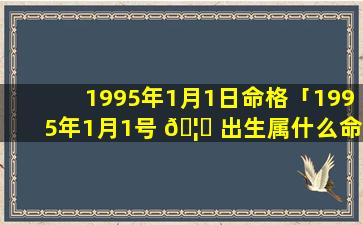 1995年1月1日命格「1995年1月1号 🦍 出生属什么命」